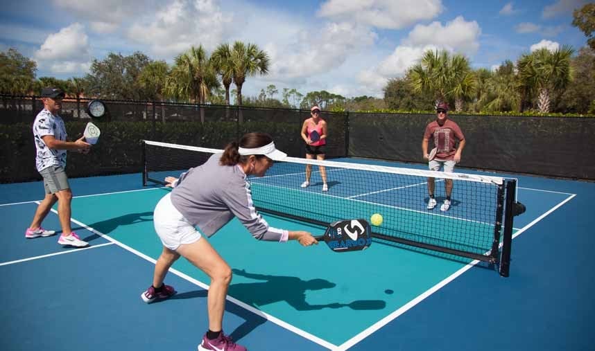 An quick Introduction to Pickleball