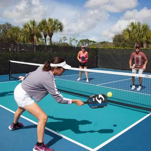 An quick Introduction to Pickleball