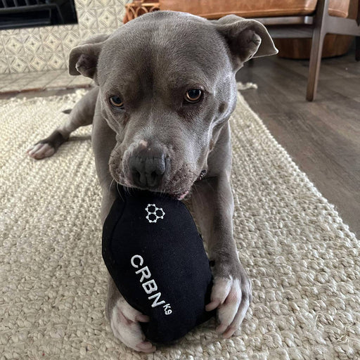 Gray puppy holding a black toy with 'CRBN K9' branding on a carpeted floor.